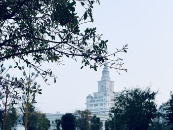 Low angle view of trees and buildings against sky