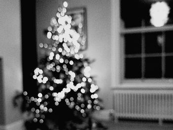 Close-up of illuminated christmas tree