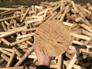 Close-up of hand holding wood