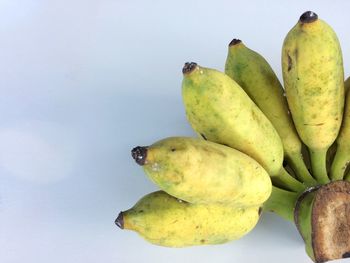 Close-up of fruit against white background