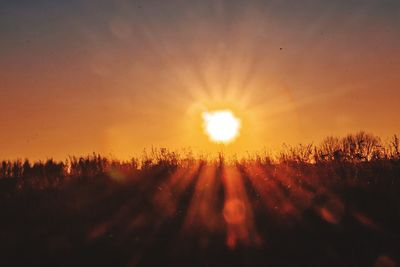 Silhouette plants against sky during sunset