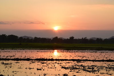 Scenic view of field against sky during sunset