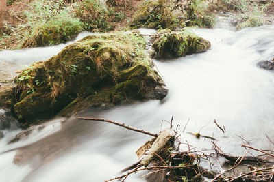 High angle view of waterfall in forest