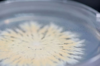 High angle view of coffee in glass