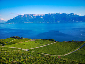 View of lac léman from saint-saphorin, unesco world heritage site