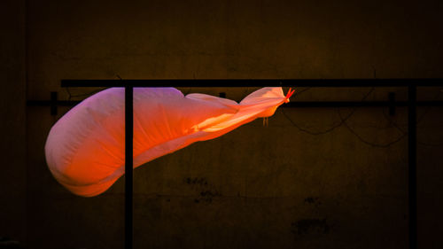 Close-up of flag against wall