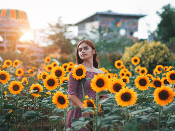 View of woman with sunflowers on plants