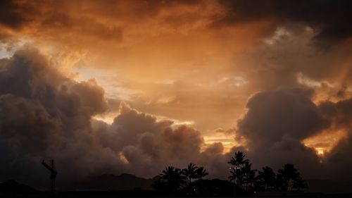 Silhouette of trees against dramatic sky