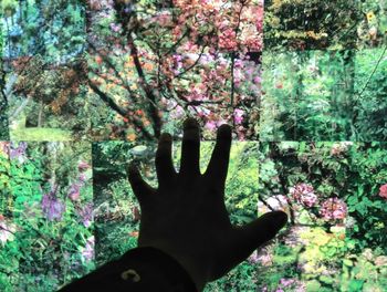 Close-up of hand on tree