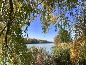 Scenic view of lake against sky during autumn