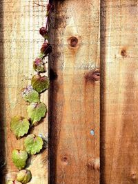 Full frame shot of old wooden door