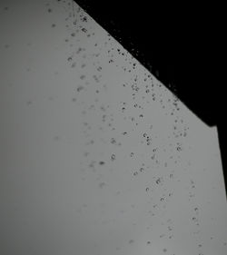 Close-up of water drops against sky