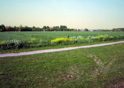 Scenic view of field against clear sky