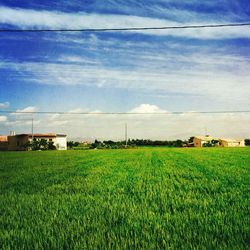 Scenic view of field against cloudy sky