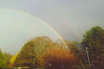 Rainbow over trees against sky