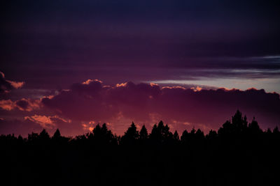 Silhouette trees against dramatic sky during sunset