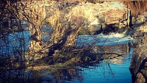 Close-up of reflection in water