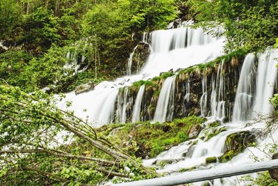 Scenic view of waterfall in forest