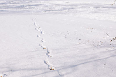 High angle view of footprints on snow covered land