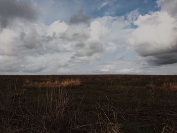 Scenic view of field against sky