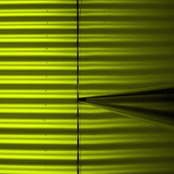 Full frame shot of palm leaves