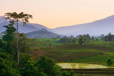 Beautiful morning view indonesia panorama landscape  with beauty color and sky natural light