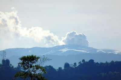 View of trees and mountains against cloudy sky