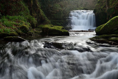 Scenic view of waterfall in forest