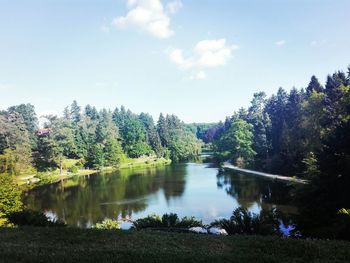 Scenic view of lake in forest against sky