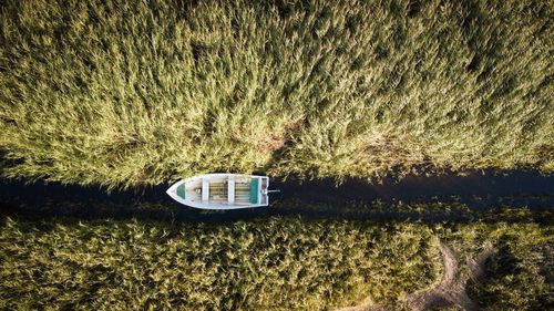 Directly above shot of boat on grass