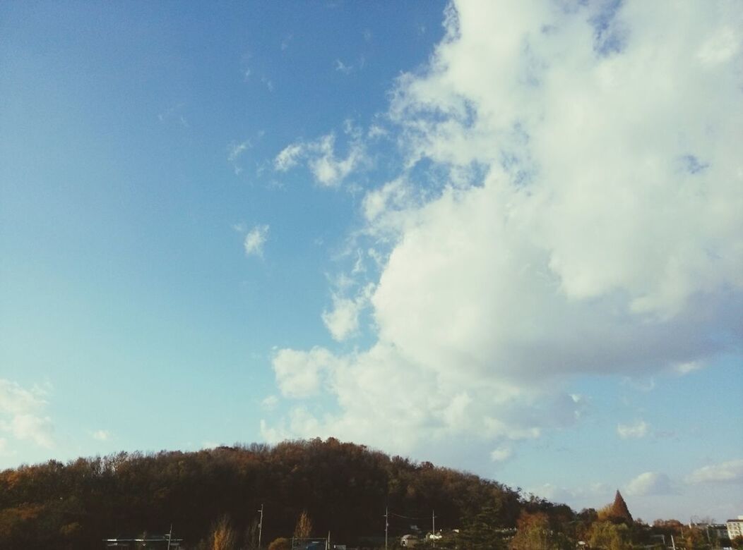 tree, sky, cloud - sky, low angle view, blue, cloud, nature, beauty in nature, tranquility, built structure, scenics, growth, building exterior, cloudy, architecture, day, tranquil scene, outdoors, no people, house