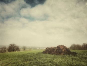 Scenic view of grassy field against sky
