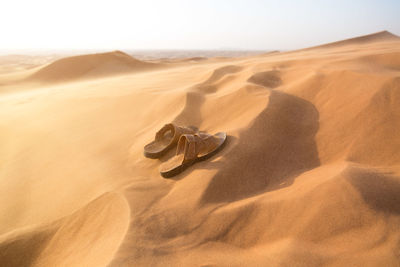 Sand dunes in desert