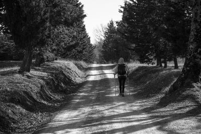 Rear view of woman walking on road amidst trees