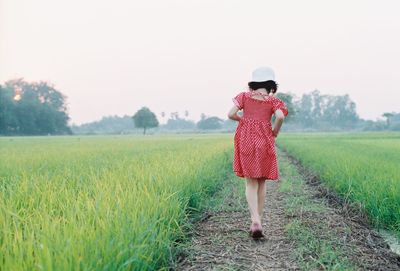 Rear view of girl walking on land