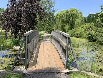 Footbridge over lake in forest