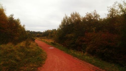 Scenic view of road amidst trees against sky