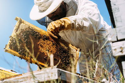 Low angle view of beekeeper holding beehive