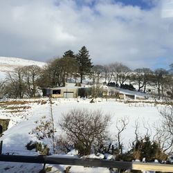 Scenic view of snow covered field