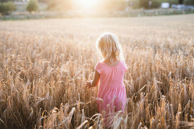 Girl on wheat field