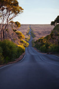 Road amidst trees against clear sky