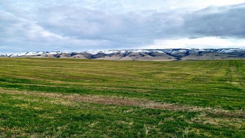 Scenic view of field against sky