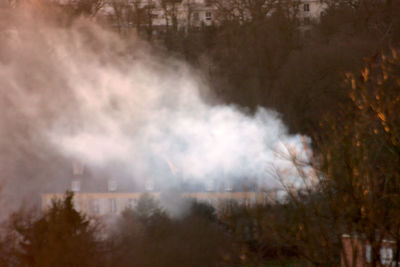 Panoramic view of trees against sky at night