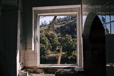 Trees seen through window of abandoned house