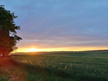 Scenic view of field against sky during sunset