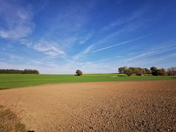 Scenic view of agricultural field against blue sky