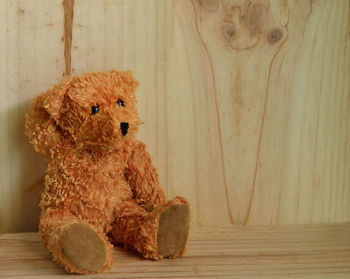 Teddy bear at home
