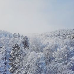 Scenic view of snow against clear sky during winter