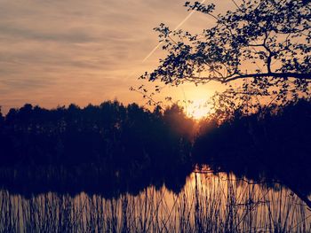 Silhouette trees by lake against sky during sunset