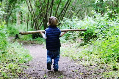 Rear view of boy in forest